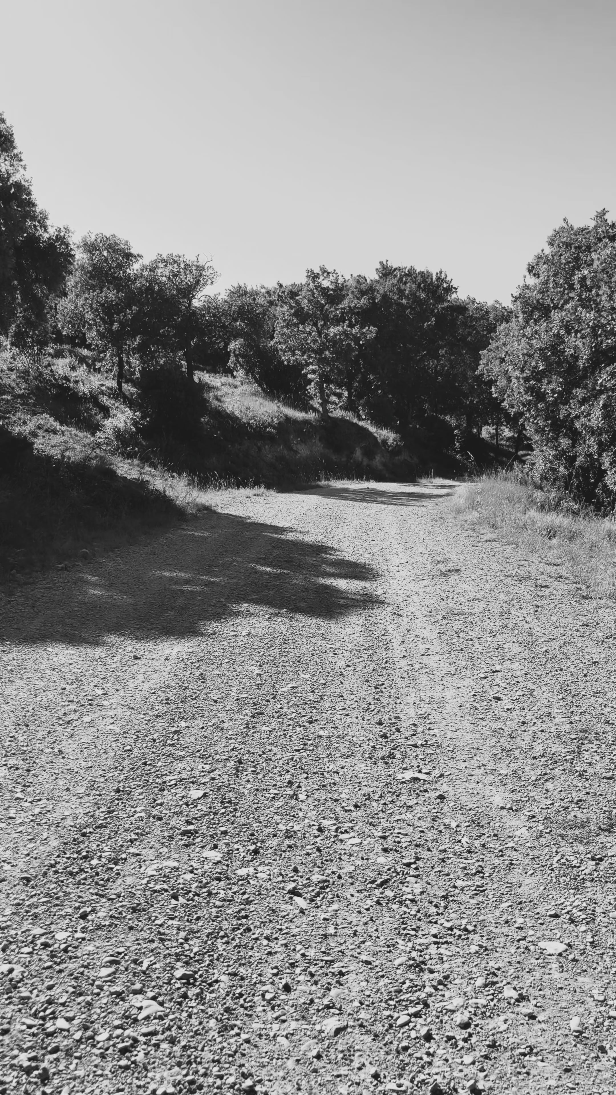 Vidéo de Ride avec des habits ToXyo